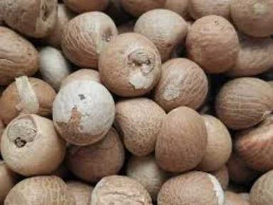 Cream Dried Brown Areca Nut