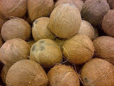  भूरा 100% प्राकृतिक भूसी वाला नारियल 