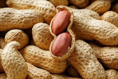 Brown High Nutrients Shelled Peanut