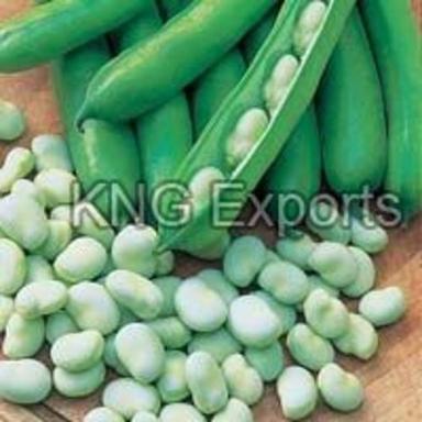 Fresh Green Broad Beans Crop Year: Current Years