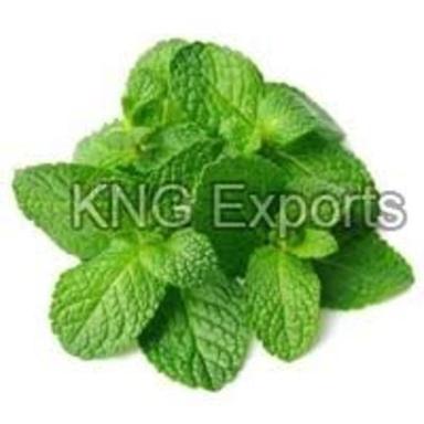 Fresh Green Mint Leaves Grade: Spices