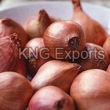 Round Good Purity Fresh Shallots