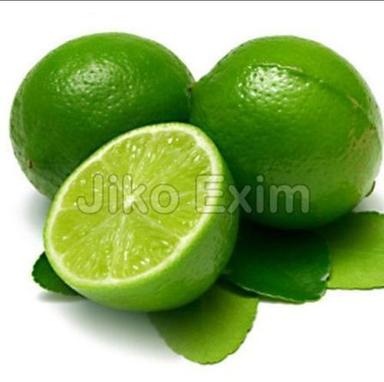 Round Export Quality Seedless Lemon