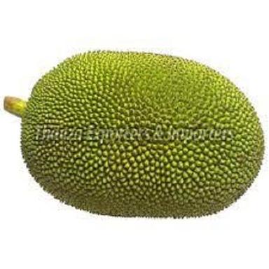 100% Natural Green Jackfruit