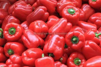 Impurity Free Red Capsicum Shelf Life: 1-3 Days