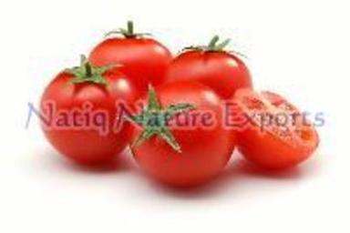 Preserved Natural Fresh Tomato For Cooking