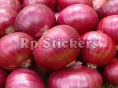 Oval-Round Organic Red Onion For Cooking