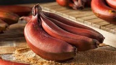 Fresh Natural Red Banana Origin: India