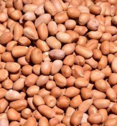Common Highly Nutritious Food Grade Peanuts
