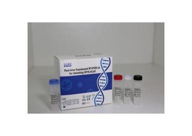 White Real Time Florescent Rt Pcr Kit