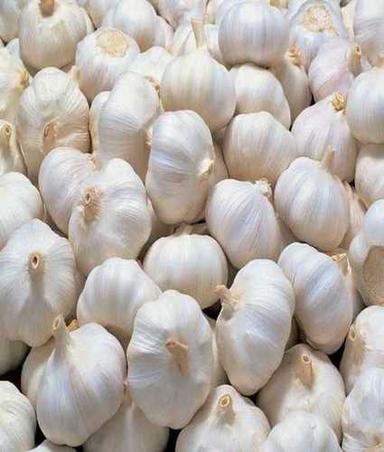 100% Natural Export Quality Fresh Garlic With High Nutritional Value Shelf Life: 8 Months
