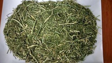 Dried Herbs Andrographis Paniculata Nilavembu Herbal Powder