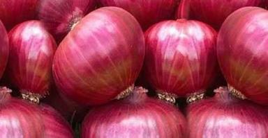 A Grade Fresh Red Onion Moisture (%): 100%