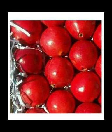 Red A Grade Fresh Pomegranates