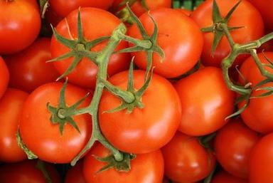 Farmplus Red Tomatoes Shelf Life: 6-15 Days