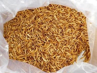 Natural Golden High Protein Microwave Dried Mealworms For Pet Food