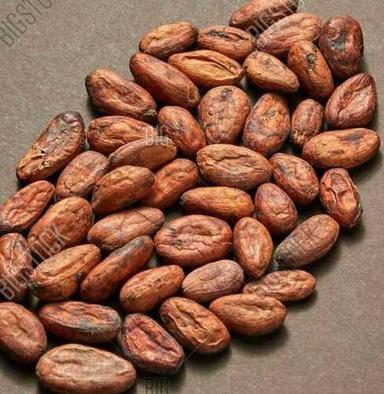 Fresh Raw Cacao Beans