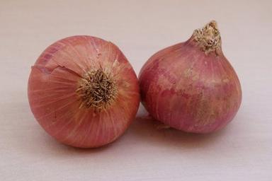 Farm Fresh Organic Onion