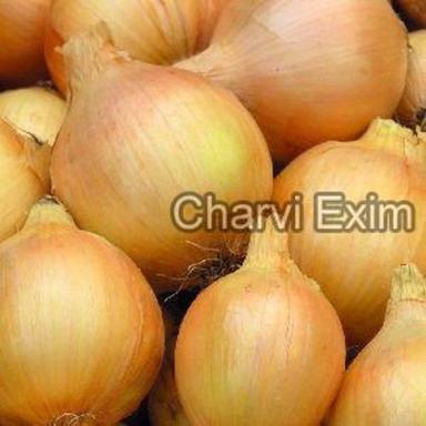 Fresh Yellow Onion For Cooking Preserving Compound: Cool And Dry Place