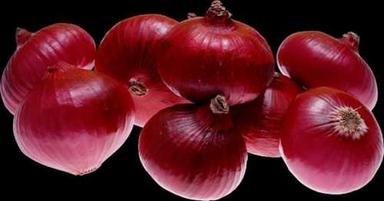 Round Wholesale Price Fresh Red Onion