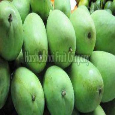 Organic Fresh Green Mango Fruits