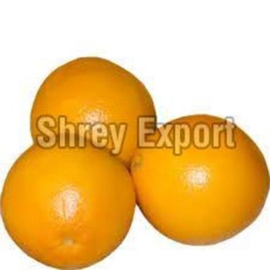 Organic Fresh Sweet Orange Fruits