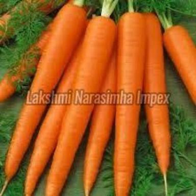 Fresh Organic Carrot For Food Preserving Compound: Cool And Dry Place