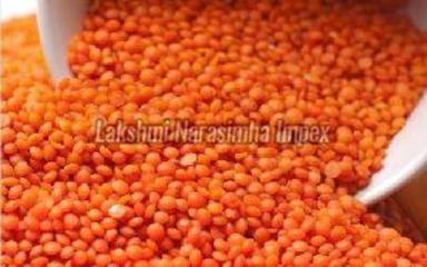 Organic Red Lentils Pulses For Cooking