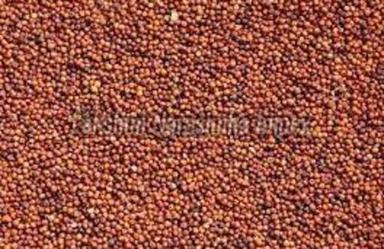 Brown Small Finger Millet For Cooking