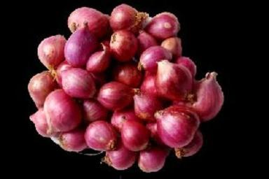 Fresh Small Onion For Cooking Preserving Compound: Cool And Dry Place