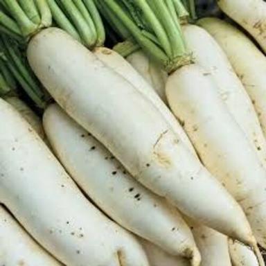 Fresh White Radish For Cooking Preserving Compound: Cool And Dry Place