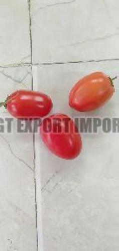 Fresh Hybrid Tomato For Cooking Preserving Compound: Cool And Dry Place