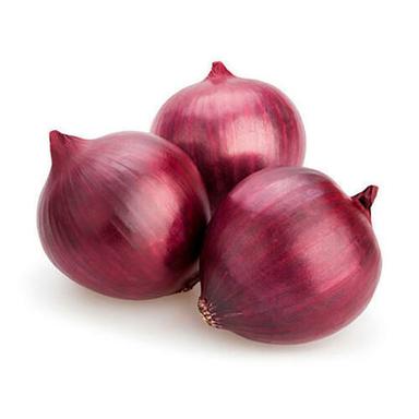 Fresh Red Onion For Cooking Preserving Compound: Cool And Dry Place