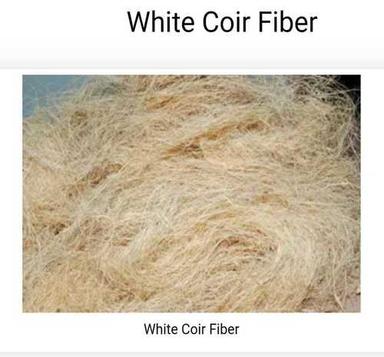 Eco-Friendly White Coir Fiber