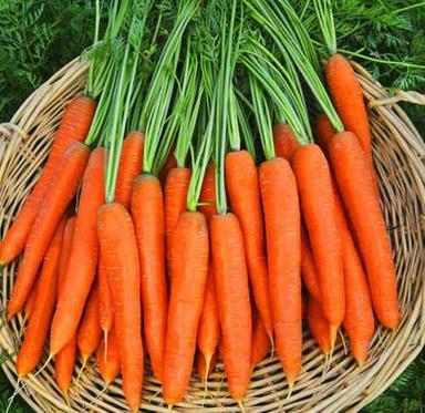 Round A Grade Fresh Carrot