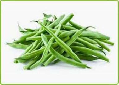Organic Fresh Green Beans For Cooking