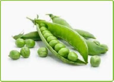 Fresh Green Peas For Cooking Preserving Compound: Cool And Dry Place