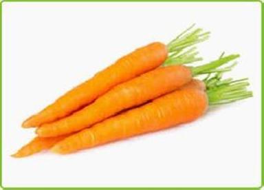 Fresh Orange Carrot For Food Preserving Compound: Cool And Dry Place