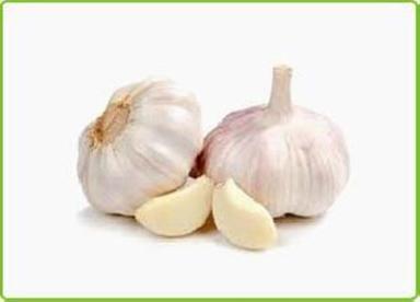 Fresh White Natural Garlic Preserving Compound: Cool And Dry Place