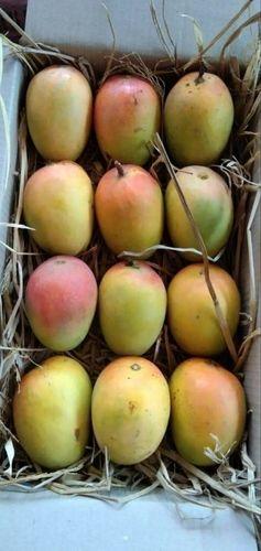 Golden Yellow Saffron Farm Fresh Ratnagiri Mango Fruit