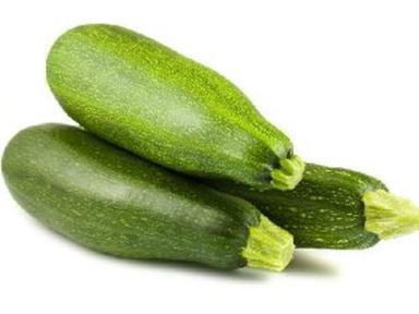 Fresh Green Zucchini For Cooking Preserving Compound: Cool And Dry Place