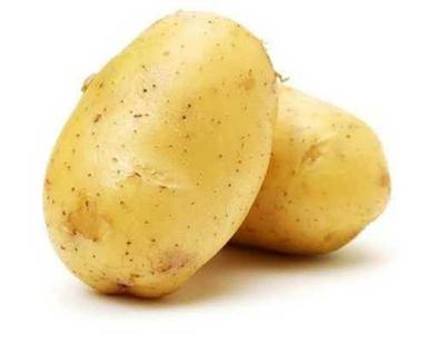 Preserved Medium Size Farm Fresh Potatoes