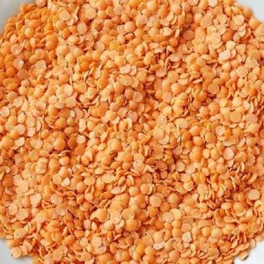 Red Healthy Masoor Dal For Cooking