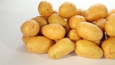A Grade Fresh Potatoes For Cooking Preserving Compound: Cool And Dry Place