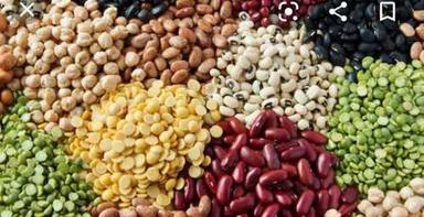 Common Pigeon Peas Good For Health