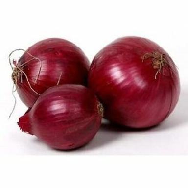 Fresh Natural Red Onion Preserving Compound: Cool And Dry Place