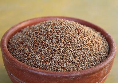 Organic Brown Millet Seeds Admixture (%): 15% Max