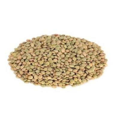 Organic A Grade Green Lentils For Cooking