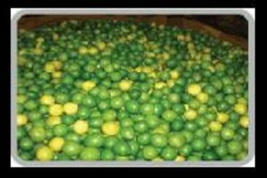 Fresh Green Lemon For Food Preserving Compound: Cool And Dry Place
