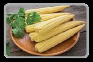 Yellow Fresh Peeled Baby Corn